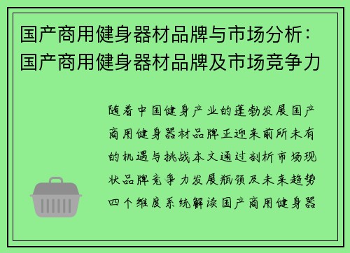 国产商用健身器材品牌与市场分析：国产商用健身器材品牌及市场竞争力分析